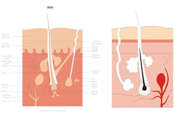 糾結(jié)身體乳哪個(gè)牌子好？從功效下手才穩(wěn)