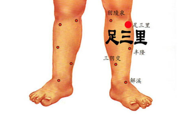 足三里的針灸作用 足三里可以經(jīng)常做針灸嗎