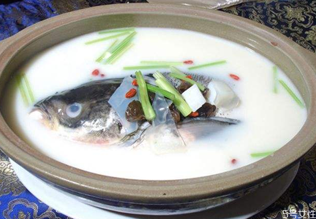 魚(yú)頭豆腐湯熬多久 魚(yú)頭豆腐湯選哪種魚(yú)頭