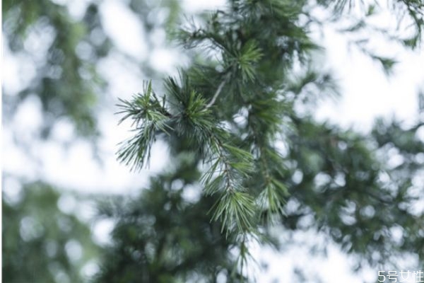 新婚夫妻長(zhǎng)期分居兩地怎么辦 分居怎么挽救婚姻