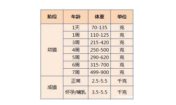 3個月小貓的正常體重 貓咪體重年齡對照表