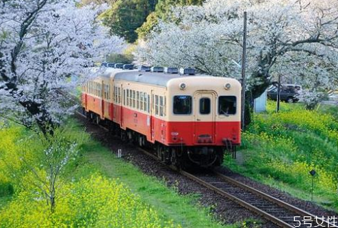 火車票候補能買到票嗎 火車票候補訂單成功率