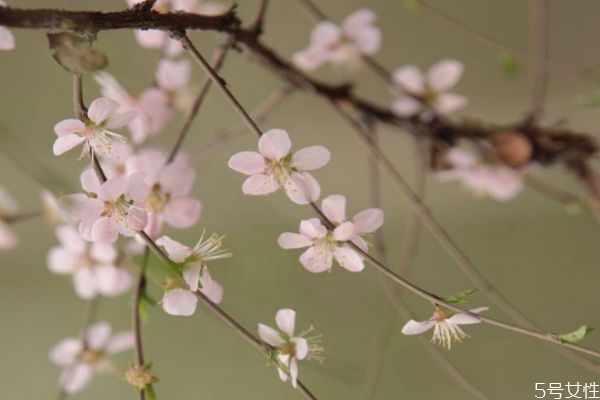 立春當天可以打掃衛(wèi)生嗎 立春這天有什么講究