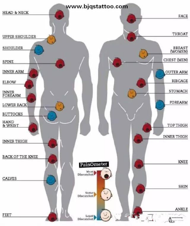 紋身疼不疼 在所難免卻可忍受