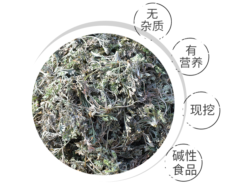 茵陳草有什么功效和作用 茵陳草泡水喝的功效