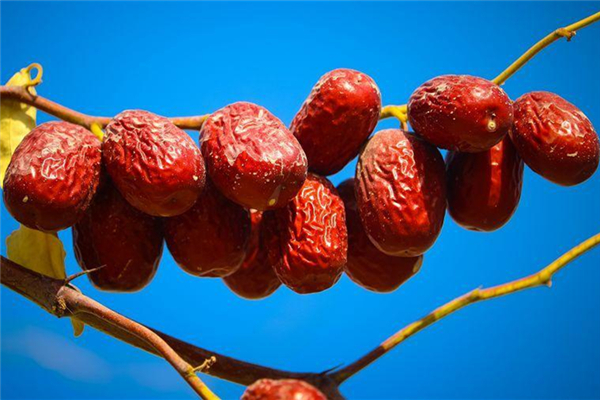 紅棗會升高血糖嗎 紅棗糖尿病人可以吃嗎