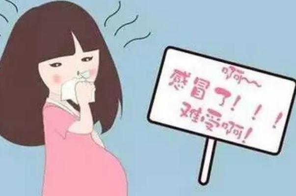 孕婦感冒會(huì)加重孕吐嗎 孕婦感冒會(huì)導(dǎo)致羊水少嗎