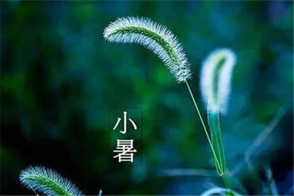 小暑怎么養(yǎng)生 小暑要吃什么