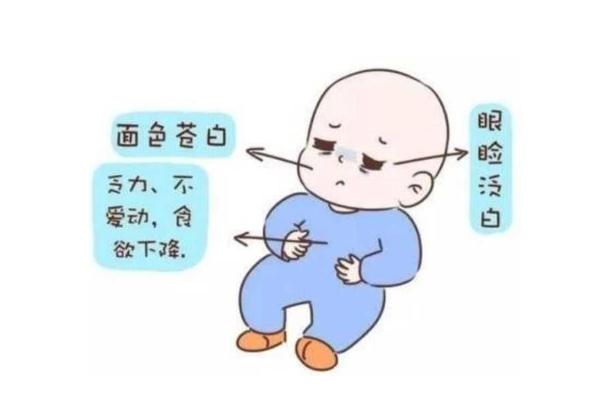 寶寶貧血吃什么補(bǔ)血最快 寶寶貧血吃什么藥