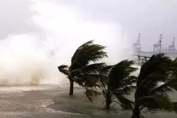 鶴壁王莊炸壩泄洪 暴風(fēng)雨來臨要注意什么