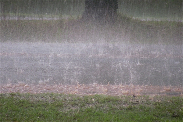 河南暴雨致302人遇難50人失蹤 暴雨時(shí)如何自救