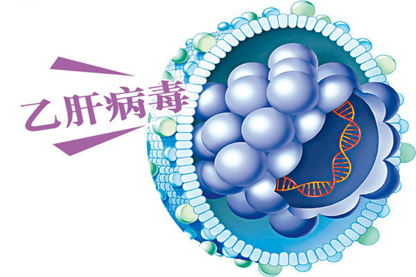 乙肝患者能過性生活嗎 乙肝患者要注意什么事項(xiàng)