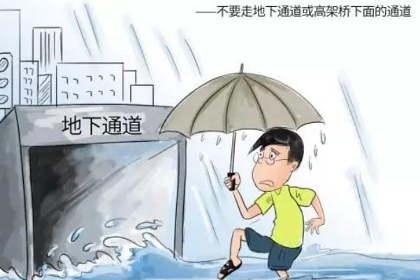 鄭州發(fā)暴雨預(yù)警后車停滿高架 暴雨應(yīng)急自救常識