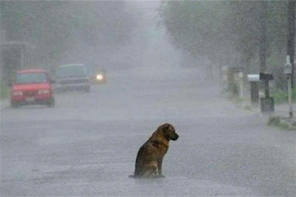 暴雨屬于自然災害嗎 暴雨產(chǎn)生的原因是什么