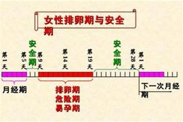 安全期是怎么算的 安全期七天后八是什么意思