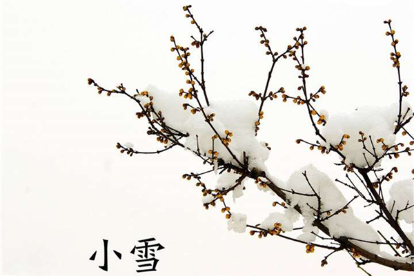 小雪是幾月幾日 小雪節(jié)氣的由來和風俗