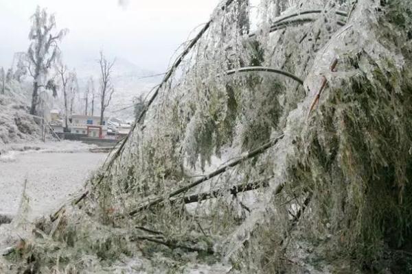 下雪要打傘嗎 下雪要做什么準備