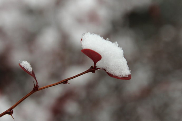 小雪是第幾個節(jié)氣 小雪節(jié)氣有什么禁忌