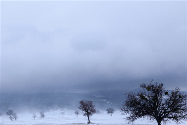 暴風(fēng)雪是怎么形成的 暴風(fēng)雪等級(jí)分類(lèi)