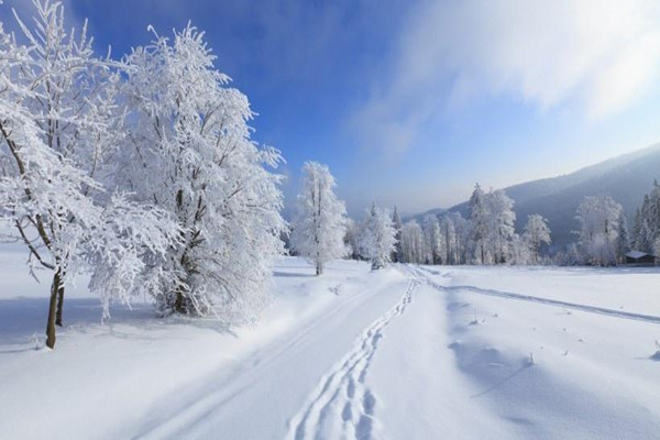 大雪節(jié)氣會(huì)下雪嗎 大雪節(jié)氣一定會(huì)下雪嗎