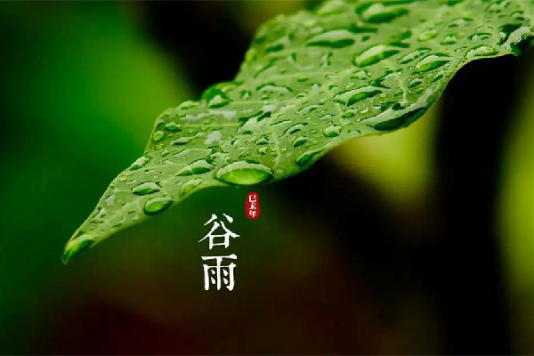 谷雨節(jié)氣吃什么傳統(tǒng)食物 谷雨節(jié)氣養(yǎng)生吃什么