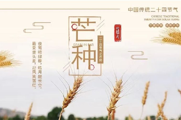 芒種是夏季的第幾個(gè)節(jié)氣 芒種屬于哪個(gè)季節(jié)