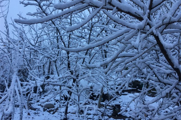 冷空氣發(fā)威上海已見(jiàn)初雪 下雪要注意什么