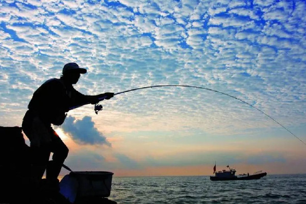 21歲網(wǎng)紅魚塘邊釣魚時(shí)觸電身亡 釣魚用什么魚餌最好