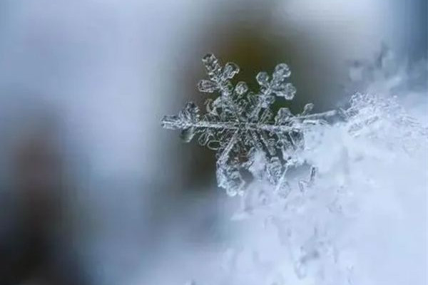 今年首場(chǎng)寒潮最強(qiáng)雨雪下在哪? 雨雪天氣會(huì)影響手機(jī)信號(hào)嗎