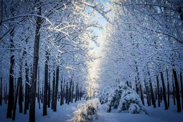 今年以來最大范圍雨雪來襲 雨雪天氣會(huì)影響飛機(jī)起飛嗎