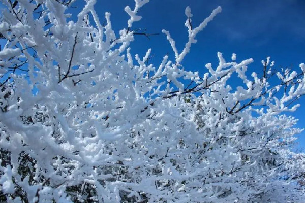 今年以來最大范圍雨雪來襲 雨雪天氣會(huì)影響飛機(jī)起飛嗎